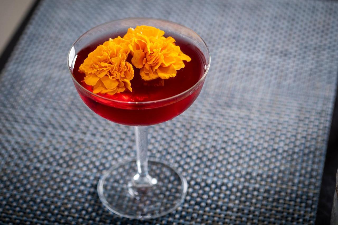 킴턴 에픽 호텔 마이애미 외부 사진 A Clover Club cocktail