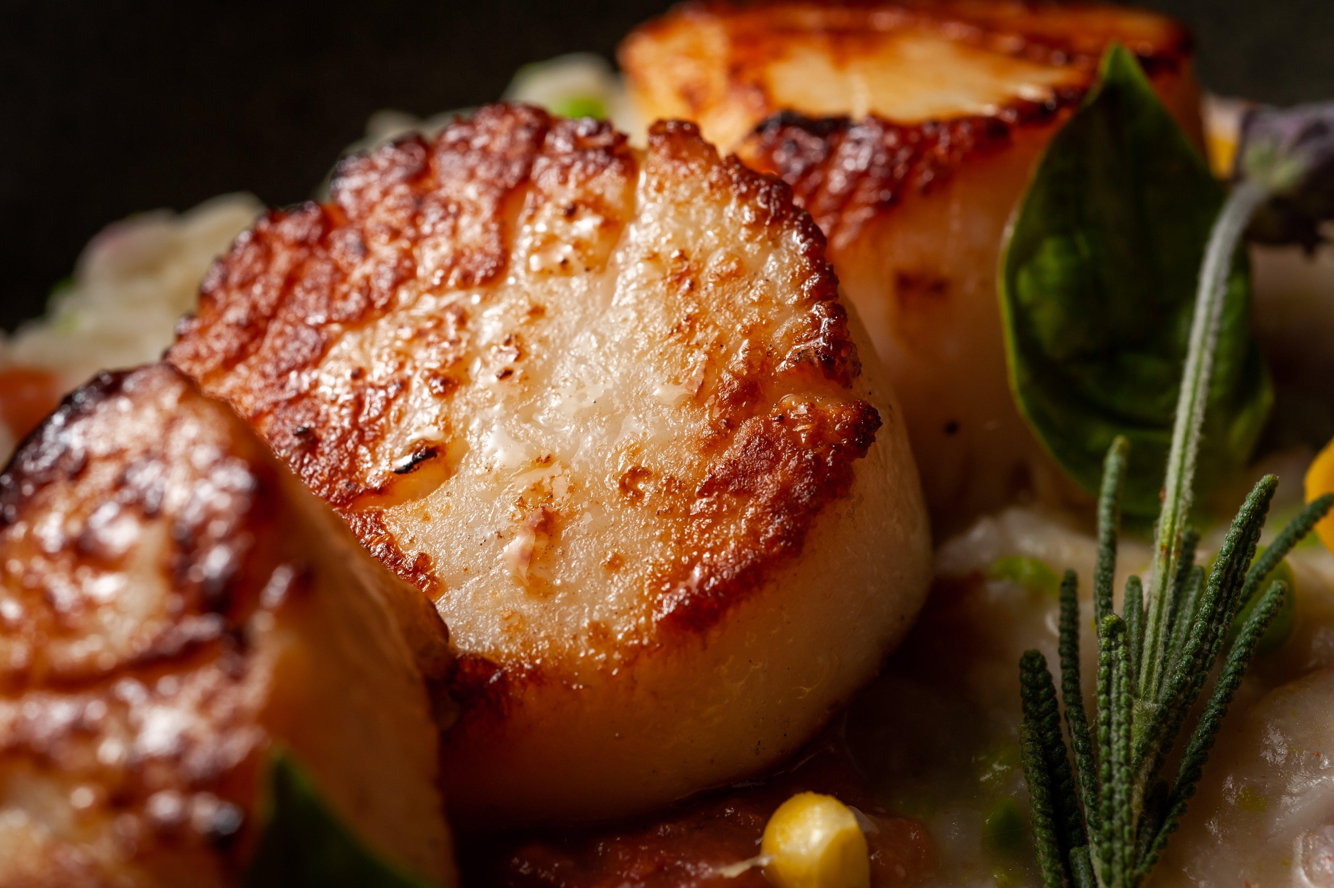 킴턴 에픽 호텔 마이애미 외부 사진 Pan-seared scallops